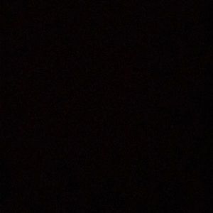 Meet your Posher, Allie